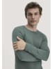 Hessnatur Wool-Silk Longsleeve in fichtengrün