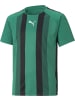 Puma Sportshirt "TeamLIGA Striped Jersey Jr" in Grün