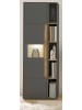 Furn.Design Aktenschrank Set 2-teilig Grau, Eiche Wotan, Kombination mit 5 Ordnerhöhen