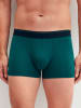 Calida New Boxer in ivy green