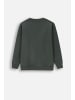 Coccodrillo Sweatshirt in grün