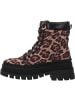 palado Stiefel, Stiefeletten & Boots in leoprad