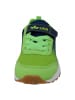 Lico Sportschuh Pete  in Grün