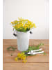 Esschert Design 5er-Set: Blumentopf in grau