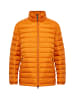 Finn Flare Steppjacke Kurz in brown