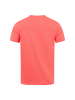 U.S. Polo Assn. P-030 in Coral