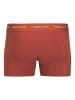 JACK & JONES PLUS 3er-Pack Trunks in Arabian Spice