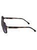 Carrera Sonnenbrille in Brown