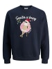 Jack & Jones Sweatshirt in Sky Captain