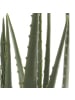 MARELIDA Künstliche Aloe Vera im Topf Kunstpflanze H: 67cm in grün