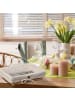 relaxdays 3 tlg. Brotkorb in Natur/ Creme