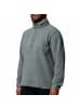 Columbia Helvetia™ II Half Snap Fleece in Grau