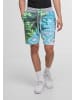 Just Rhyse Just Rhyse Shorts in green colored