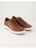Josef Seibel Sneaker low in Braun