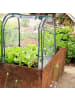 relaxdays Frühbeet in Grün/ Transparent - (B)68 x (H)70 x (T)50 cm