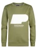Petrol Industries Sweater mit Aufdruck Harborview in Grün