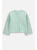 Coccodrillo Sweatshirt in grün