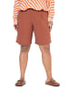 Studio Untold Shorts in rehbraun