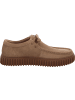 Clarks Schnürer Torhill Lo in Beige