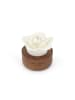 Laura Ashley Duftblumen Laura Ashley - Green Tea & Aloe