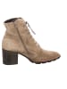 Paul Green Schnür-Stiefeletten für Damen in taupe