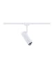 paulmann URail Spot Smart Home Zigbee 3.0 Tarie RGBW  230lm 4,5W RGBW+ dimmbar 230V Sign