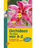 Ulmer Orchideen im Haus von A - Z