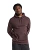 Polo Club Sweatshirt MAN RIGBY GO HOODIE K SWEAT IO LONG SLEEVE RELAXED FIT in Pflaumen