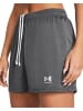 Under Armour Sportshorts "Ua W'S Ch. Knit Short" in Grau