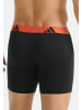 Adidas Sportswear Long Short / Pant Active Flex Cotton in Schwarz / orange
