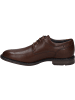 Josef Seibel Halbschuh Earl 05 in braun