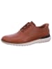 Skechers Schnürer Mako in Braun