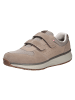 Joya Halbschuh DYNAMO STRAP M BEIGE in beige