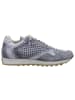 Cetti Sneaker in grau