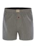 Phil & Co. Berlin  Boxer All Styles in 313-Mix 7