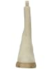Steve Madden Stiefelette in Sand