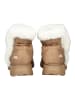 Steve Madden Stiefelette Tan