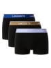 Lacoste Trunks in Mehrfarbig