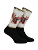 Jenes Socks Socken in Multicolored