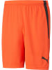 Puma Sporthose "TeamLIGA Shorts" in Rot