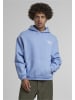 Mister Tee Sweat & Fleece - Hoodies in powderblue