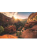 Ravensburger Puzzle 1.000 Teile Zion Canyon USA Ab 14 Jahre in bunt