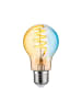 paulmann Filament 230V LED Birne G