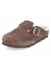 Australia Luxe Collective Clogs BERLIN in taupe
