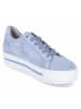 Gabor Low Sneaker in Blau