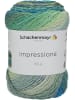 Schachenmayr since 1822 Handstrickgarne Impressione, 100g in Landscape color