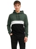 Jack & Jones Sweatshirt JJEREID BLOCKING in Mehrfarbig