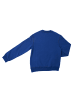 Dsquared2 Sweatshirt in Blue