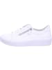 Gabor Lowtop-Sneaker in weiss (ice)