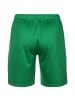 Puma Trainingsshorts Neymar Copa in grün / weiß